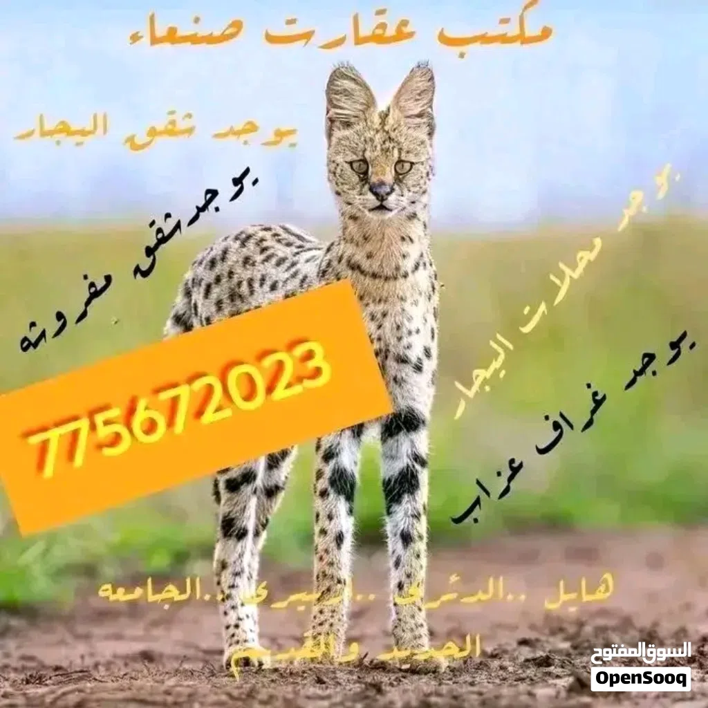 يوجد غراف عزابببب في هائل الدئري ازبيري ارباط الجامعه الجديد ولقديم
