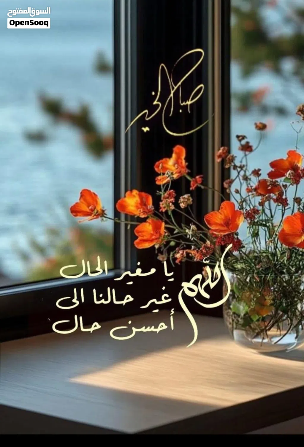 مبنى تجاري سكني للبيع شبنة الرابش