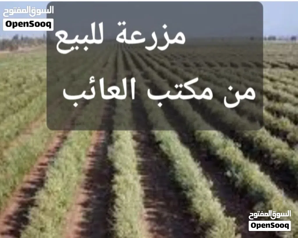 30 هكتار ولاية زغوان للبيع