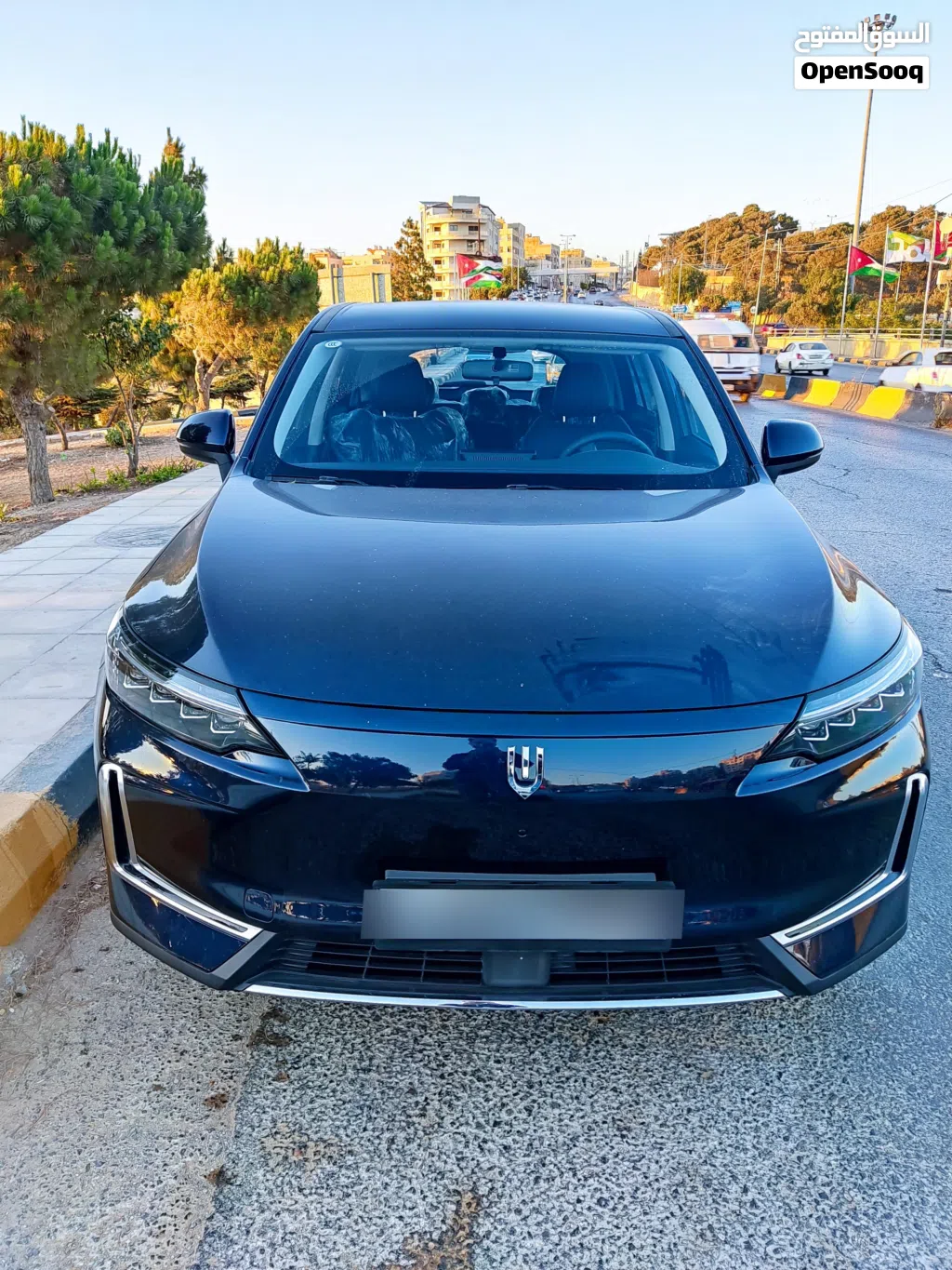 سكاي ويل سكاي وورث EV6