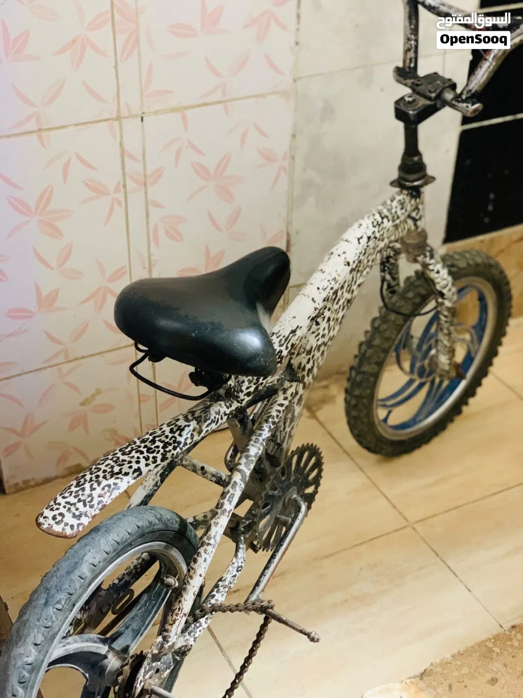 بسكويت كوبرا أمريكي