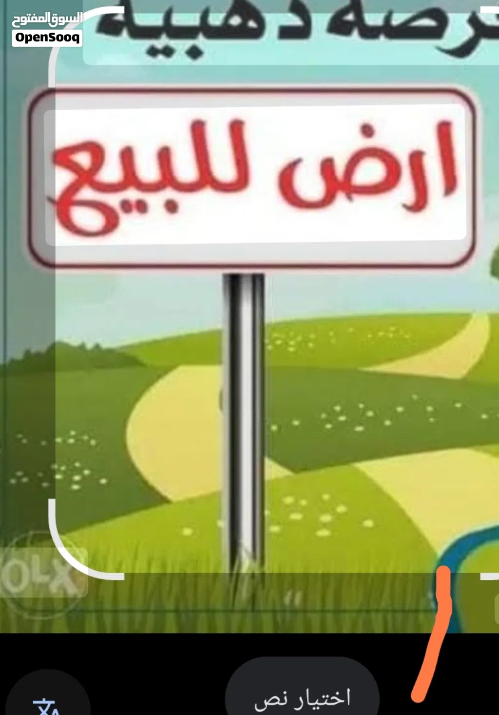 ارض فنوفليين للبيع بسعر ممتاز جداا وبالقرب من رئيسي ارض فنوفليين للبيع بسعر ممتاز جداا وبالقرب من رئ