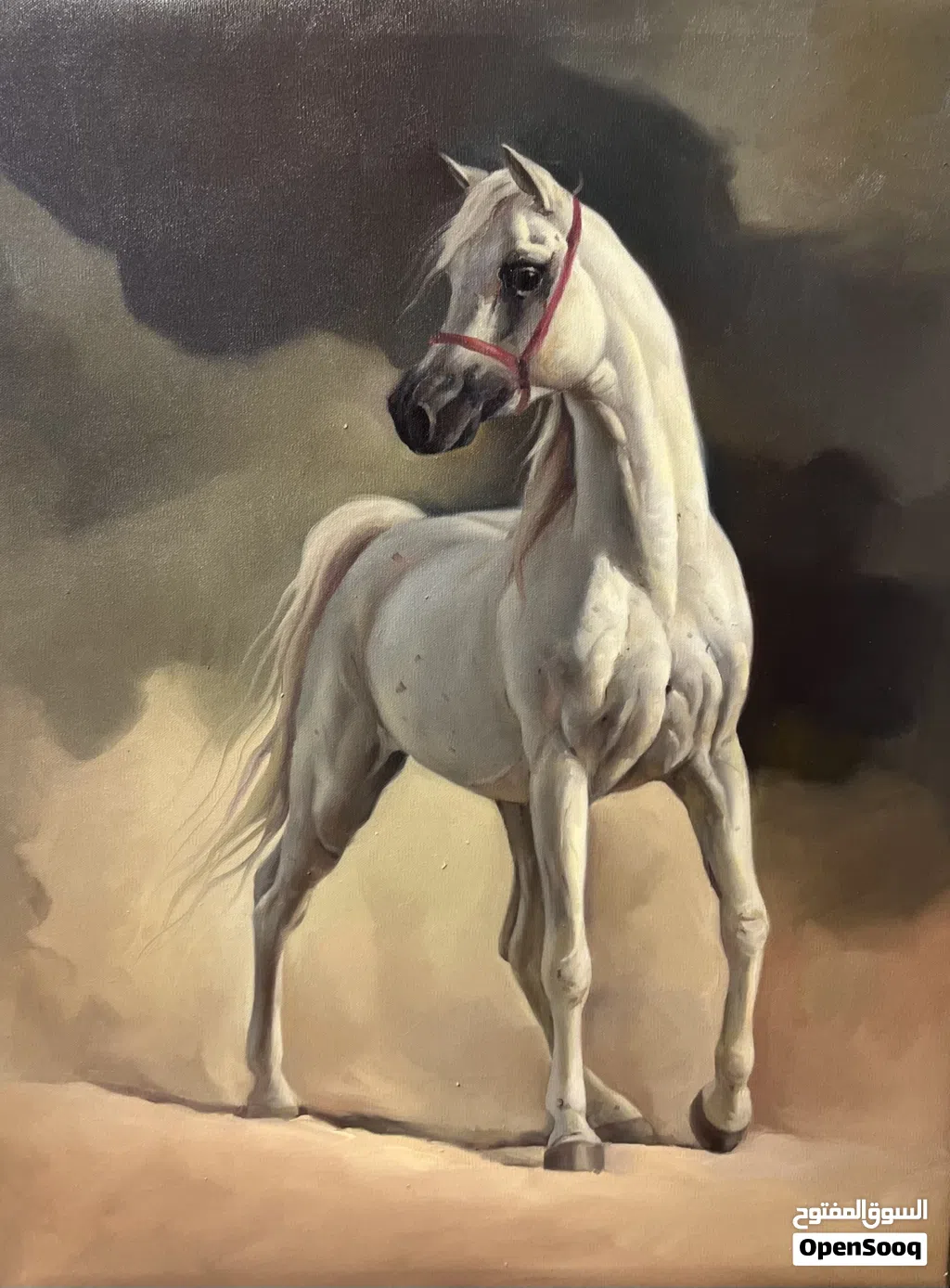 لوحة الخيل العربي