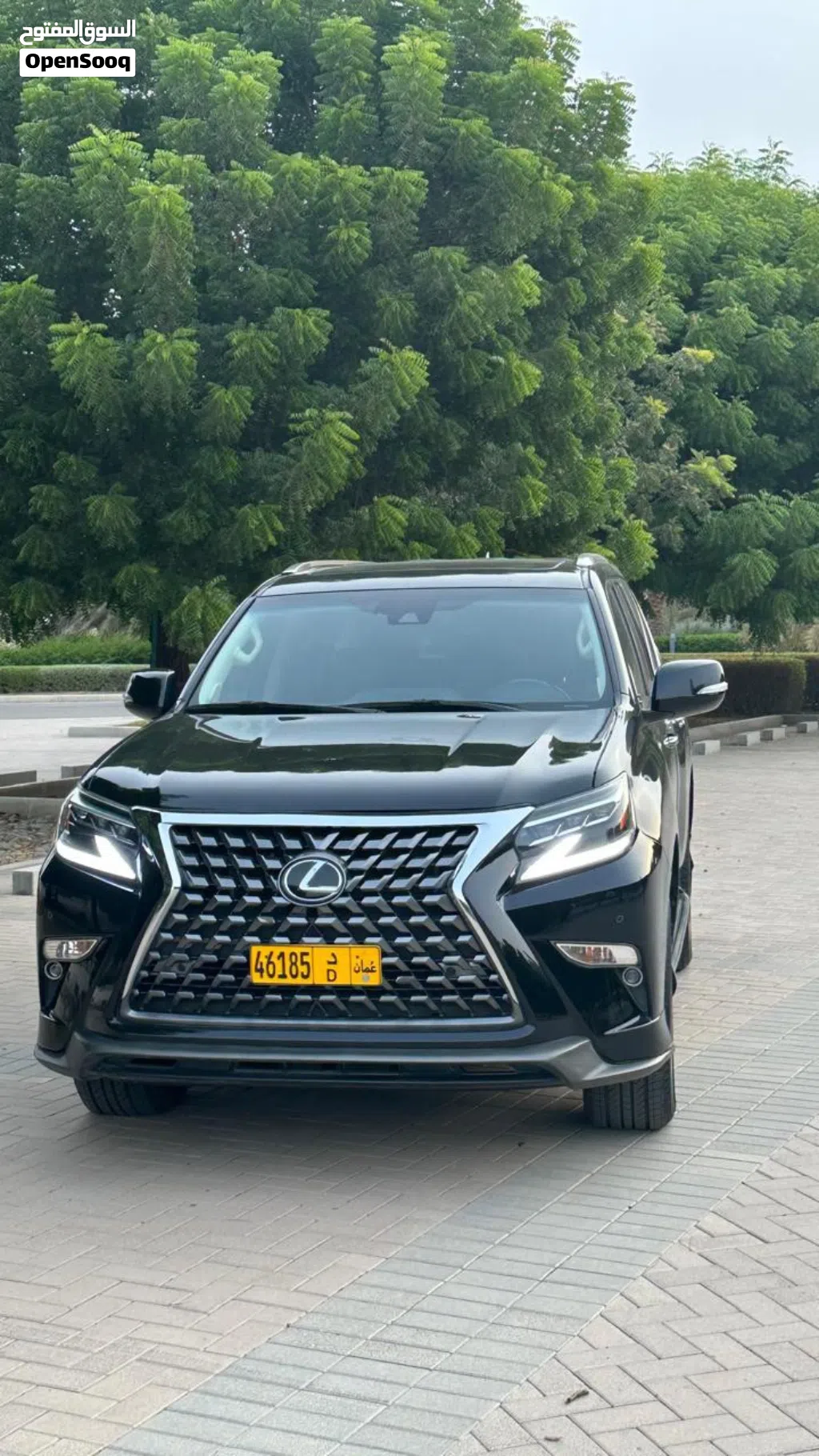 لكزس GX GX 460 Luxury