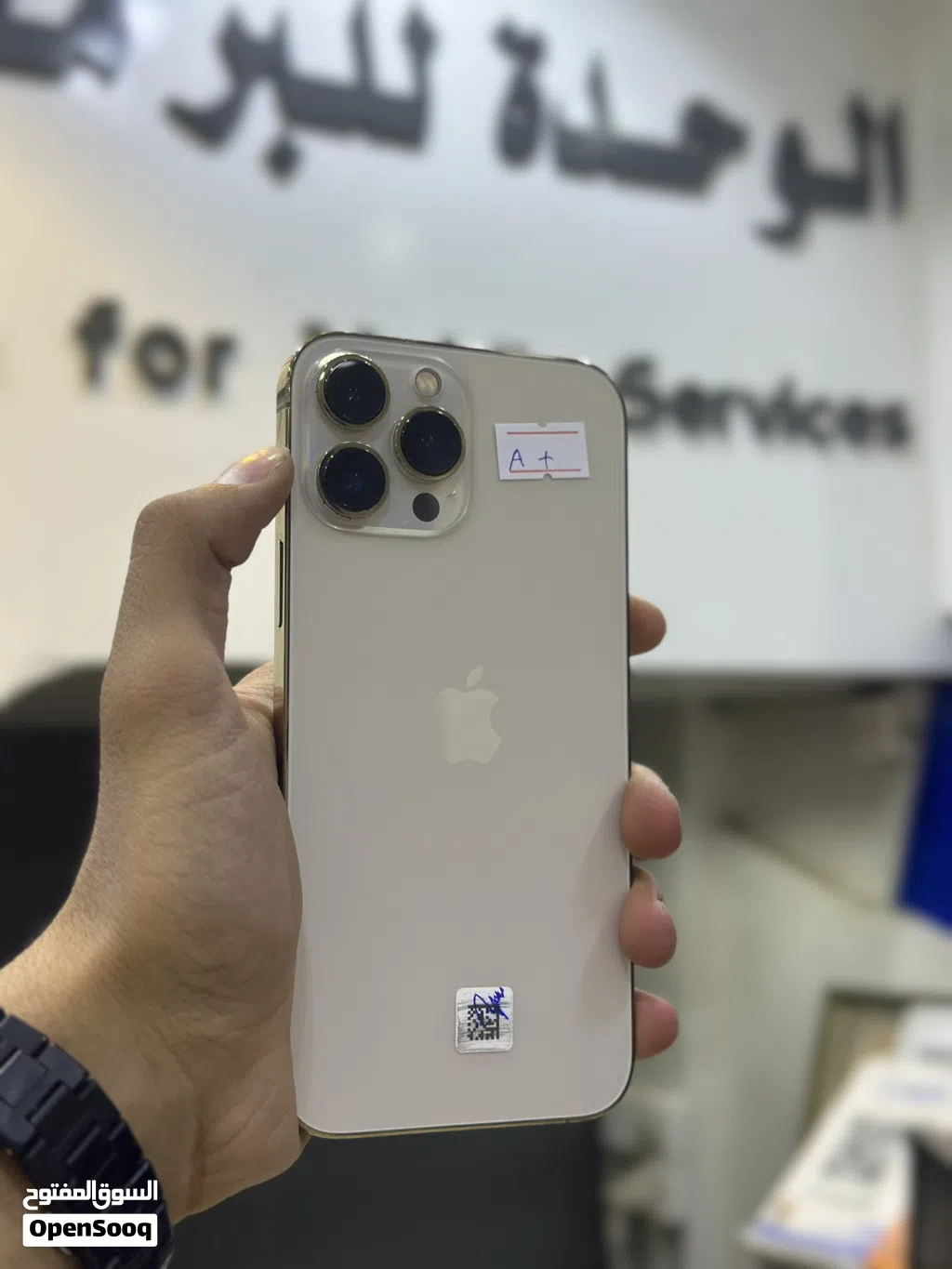 iPhone 13 Pro Max