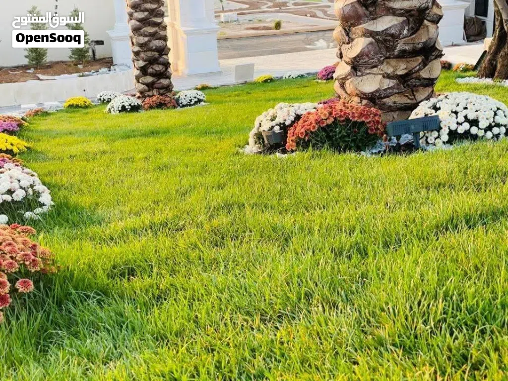 افضل انواع النجيل ال m 5