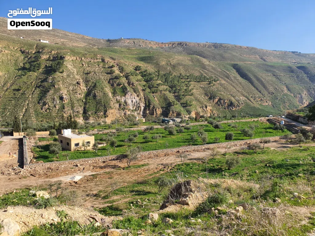 أرض زراعية في منطقة جلعد ألرميمين