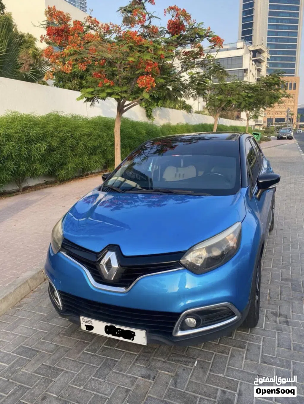 Renault Captur RS Line