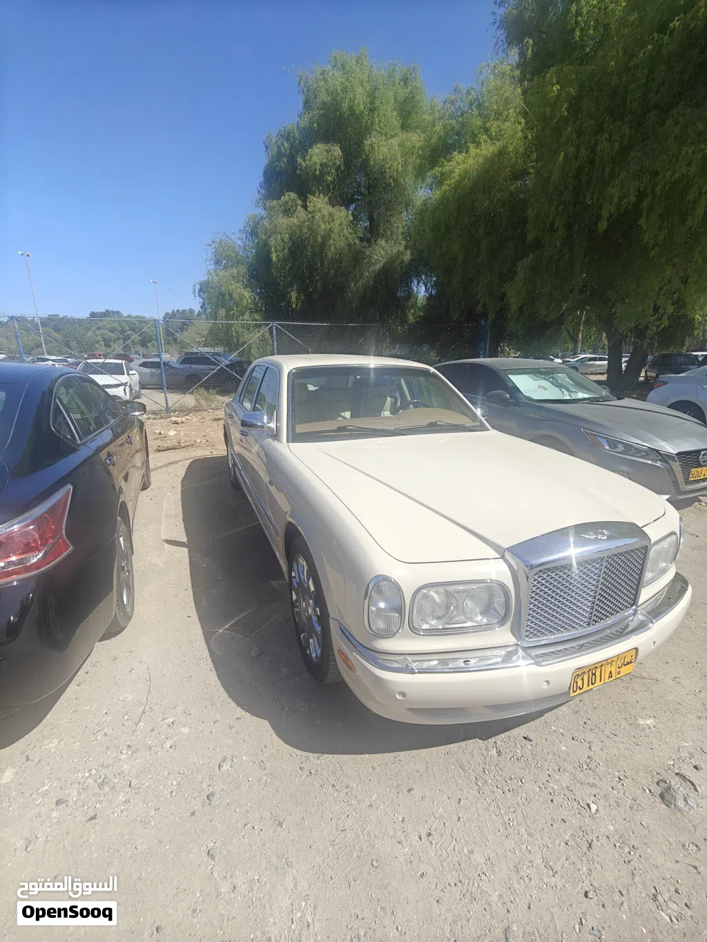 بنتلي ارنايج Standard