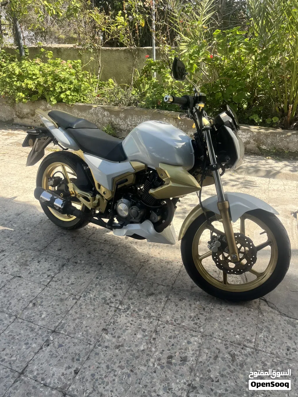 QJmotor Commute