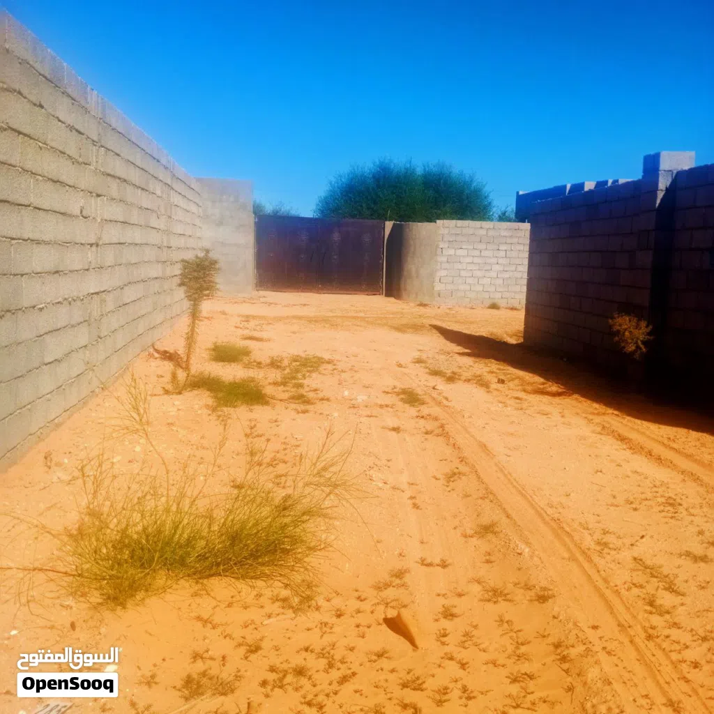 ارض للبيع ربي يبارك مالك طول قابل للنقاش