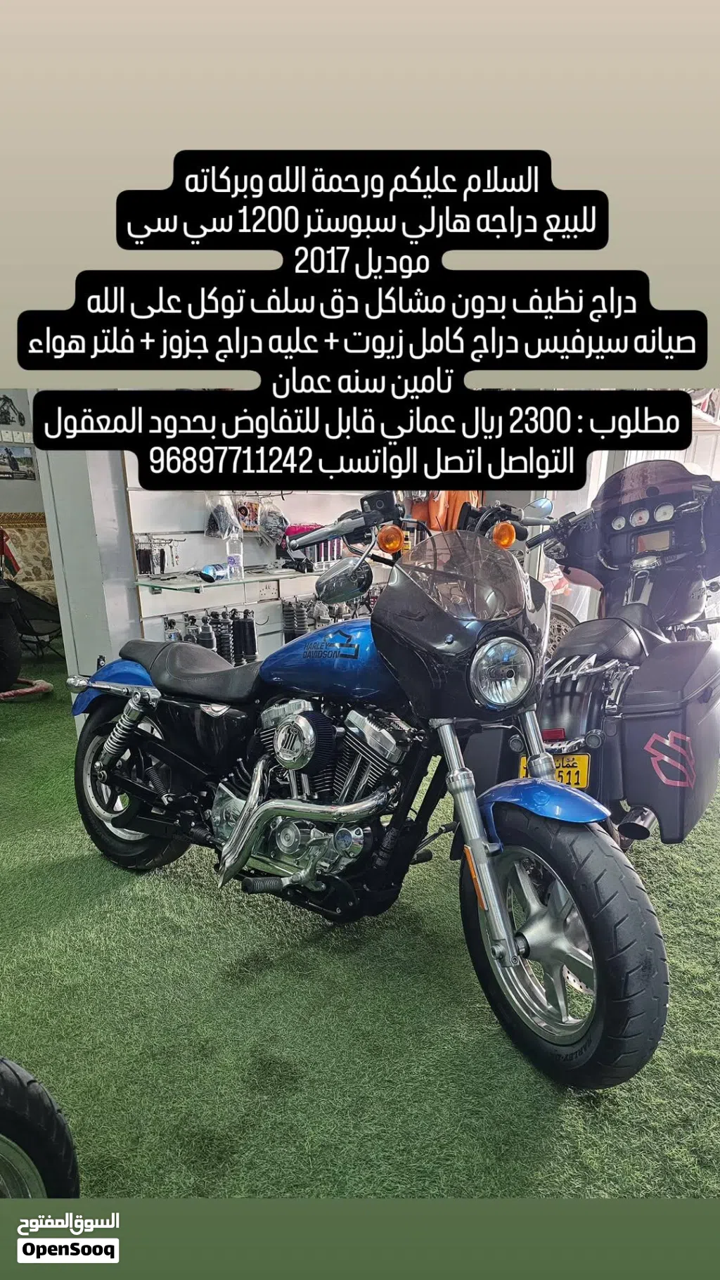 Harley Davidson 1200 Custom