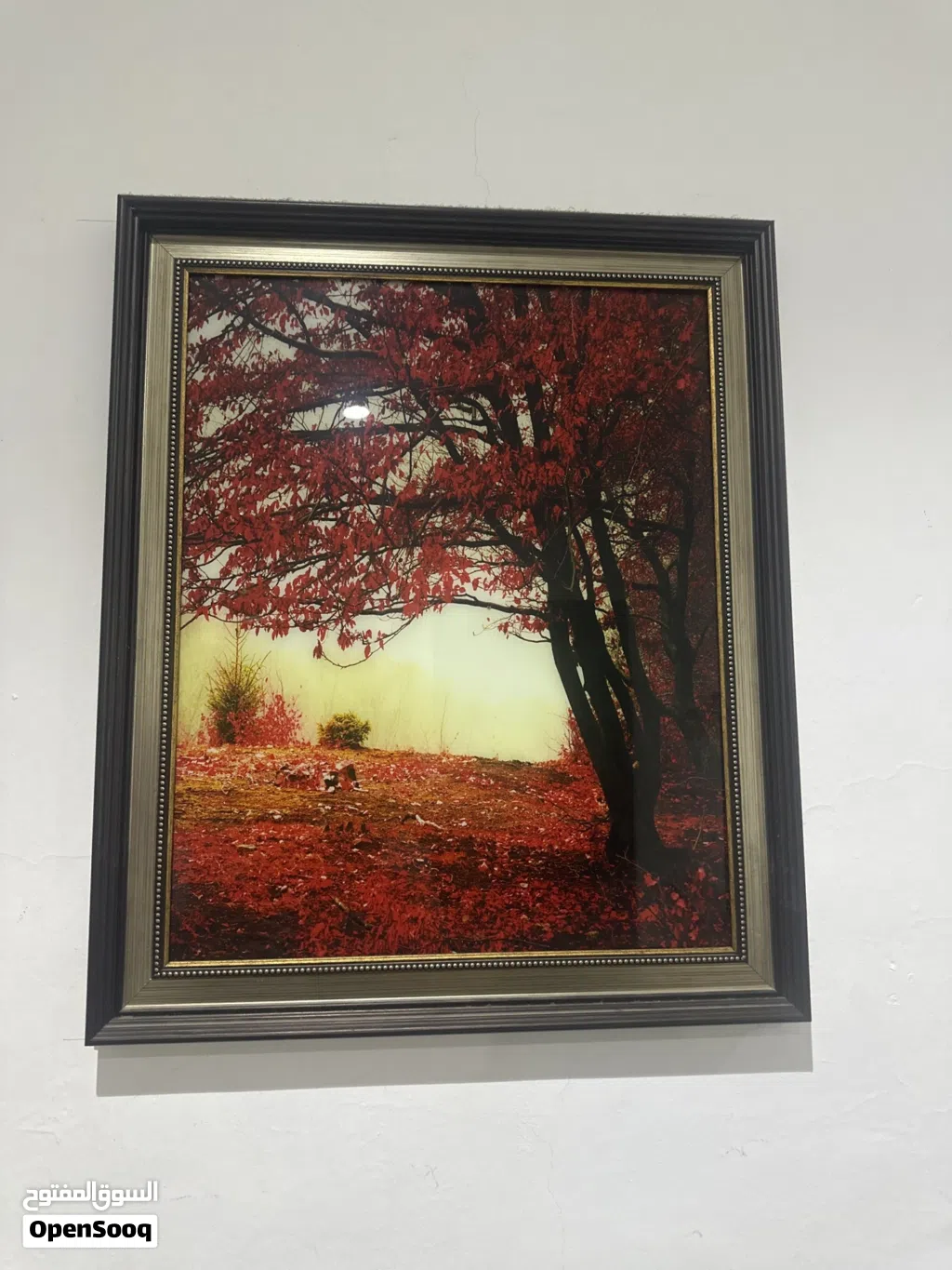 Picture wall decor
