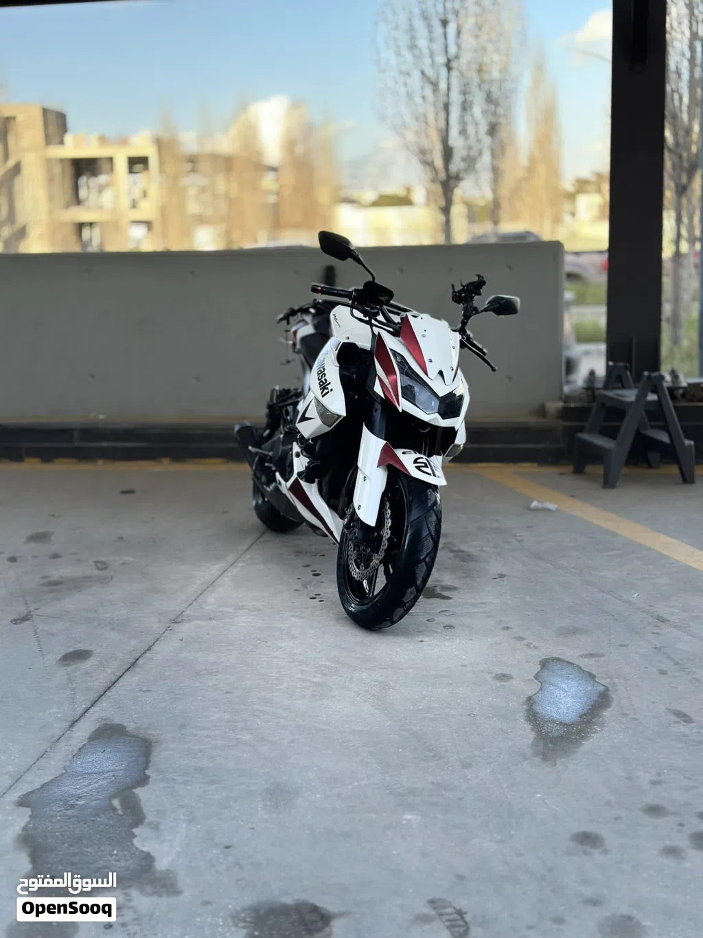 Kawasaki Other