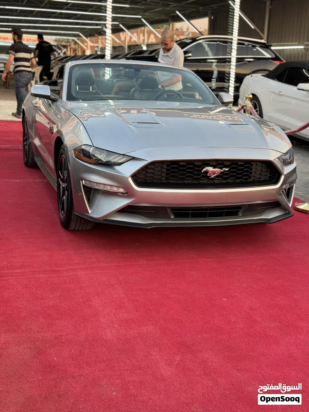 Ford Mustang Standard