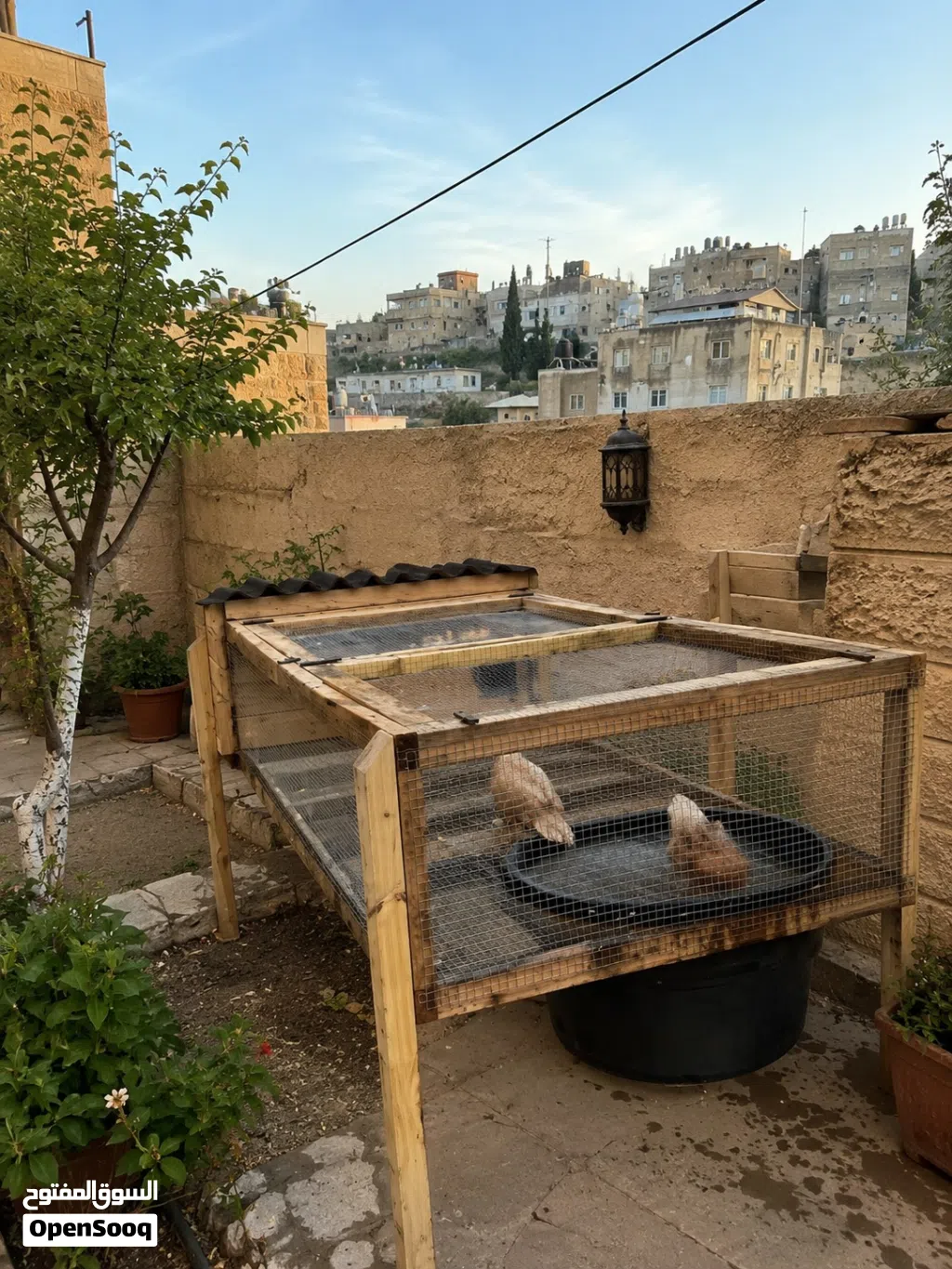 قفص طيور مخصص للبط