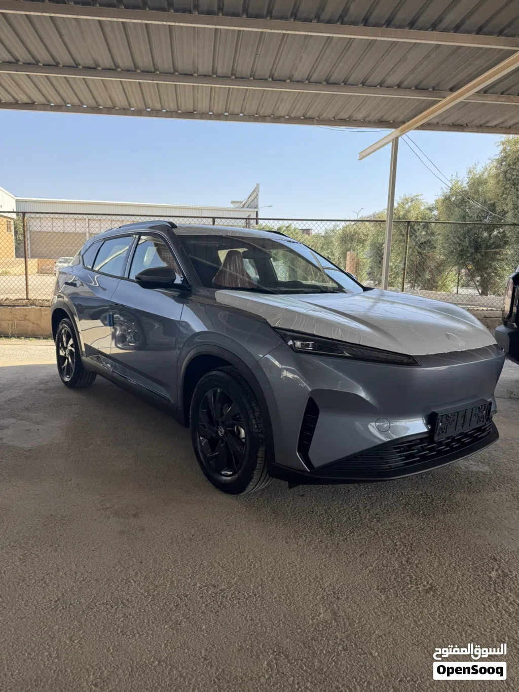 Dongfeng Sky EV01