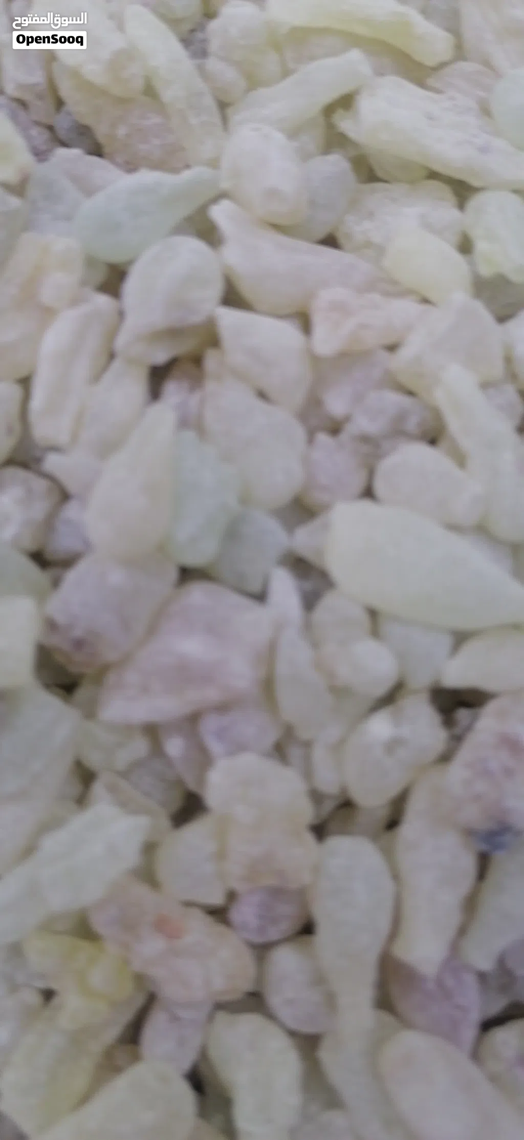 The best types of Hojari frankincense for medicinal, culinary, and drinking purposes.