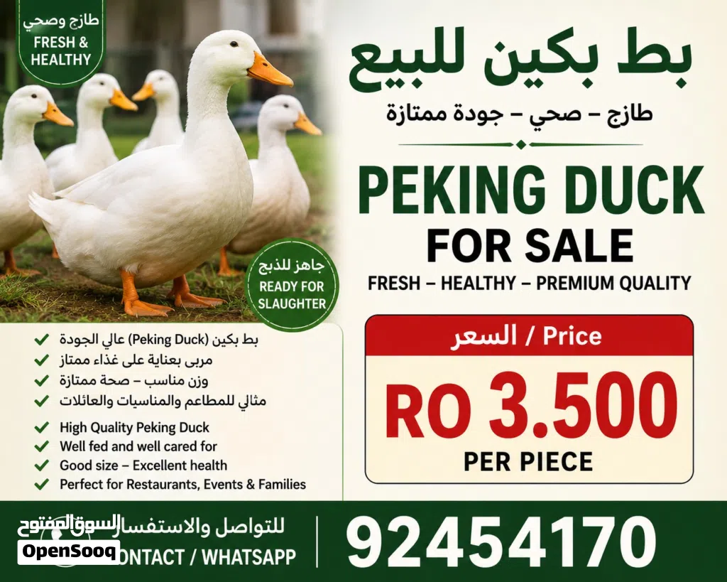 Chicken Duck Rabbit best and fresh from the Farm
