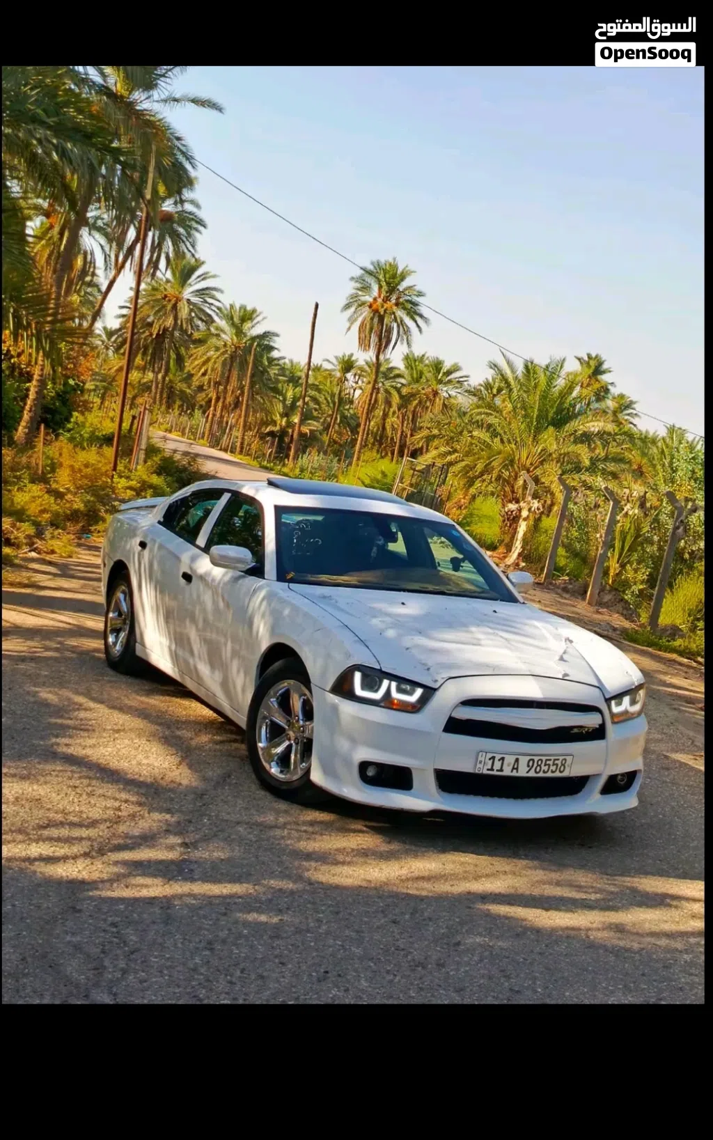 دودج تشارجر Daytona R/T