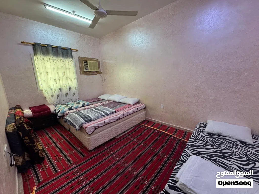 شقة صغيرة للايجار اليومي ف الخضراء الجديدة