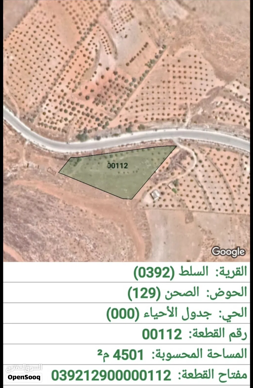 ارض في السلط للبيع