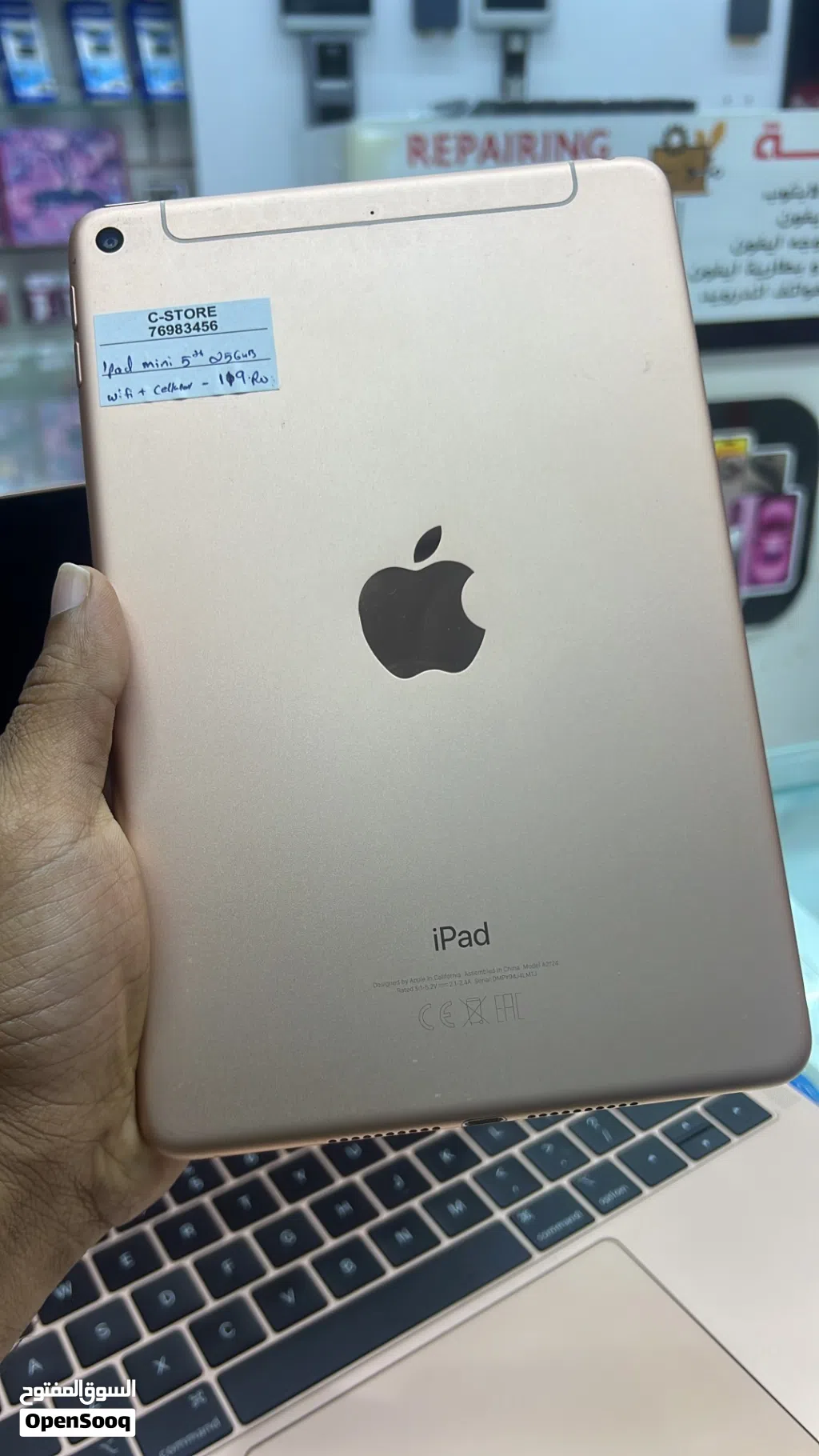 Ipad mini 5 Wifi-Cellular 256 GB