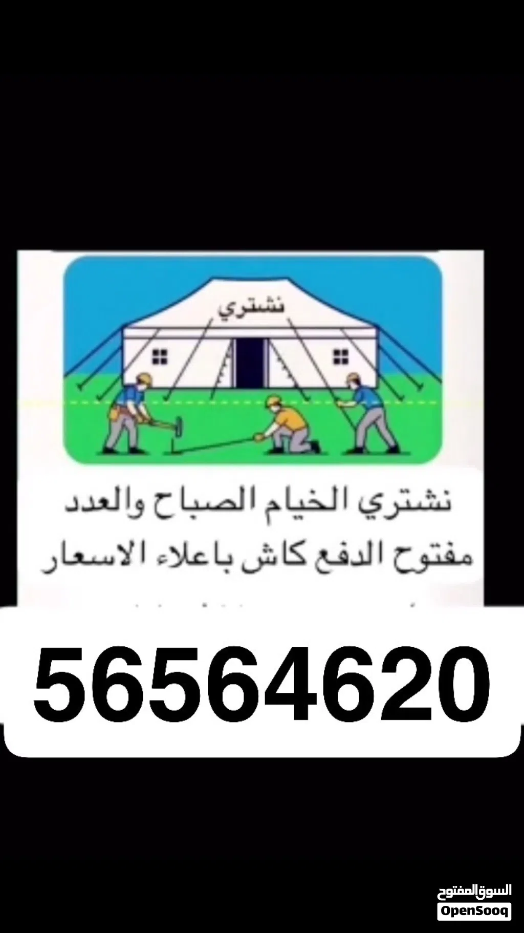 نشتري اخيام الصباح