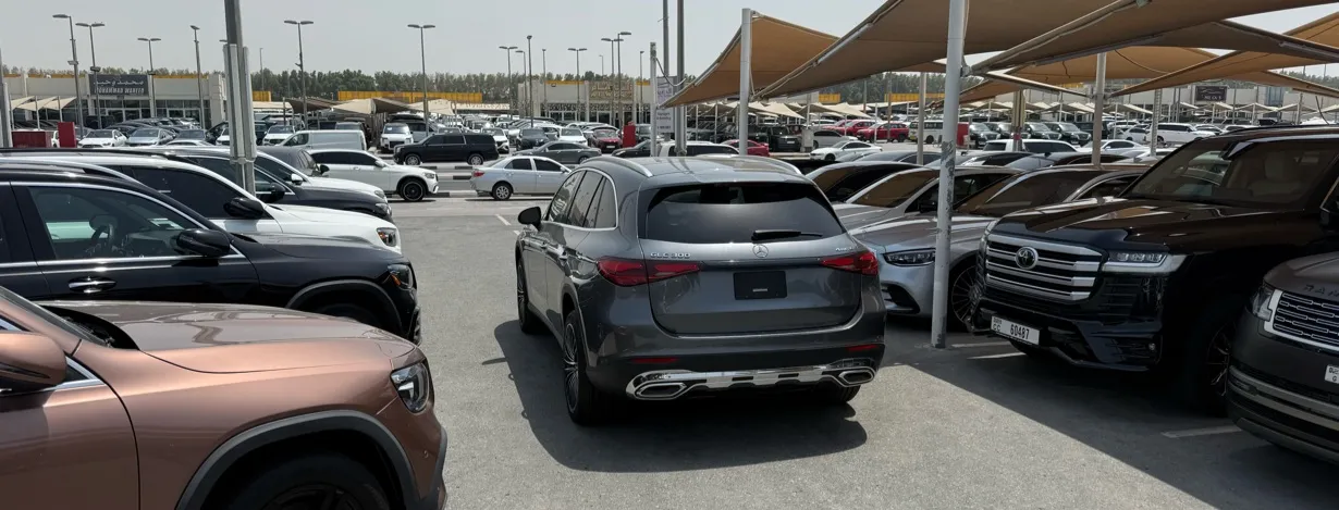 النورس (alnawras) showroom number 49