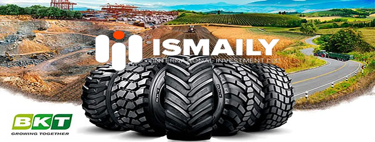 الاسماعيلي الدولية للإستثمار ش.م.م