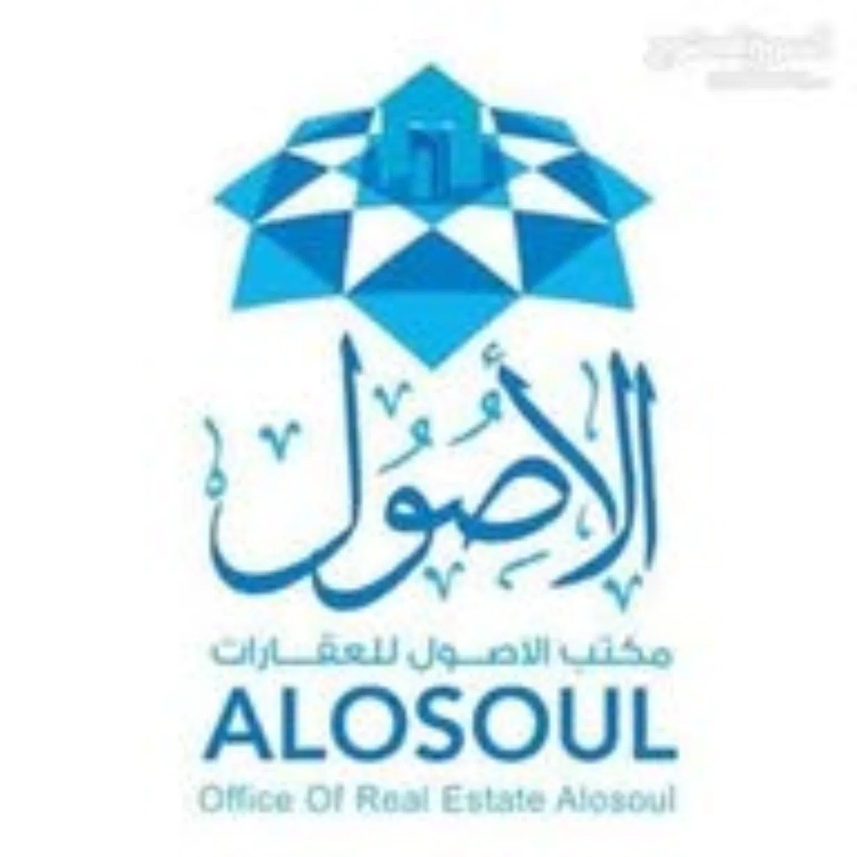 مكتب الأصول للعقارات 