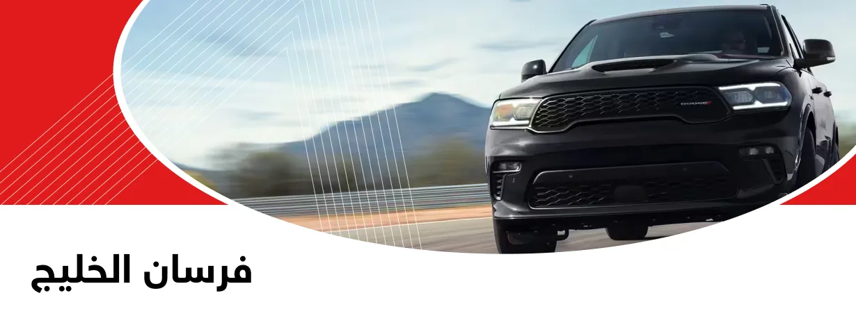 فرسان الخليج 