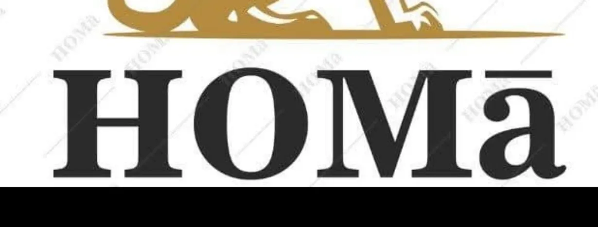 Homa furniture1
