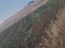 Jerash ‏Marsa'