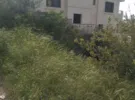 Amman ‏Badr Jdedeh