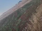 Jerash ‏Marsa'
