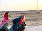 ياماها ‏أخرى ‏2003 ‏600 - 749 سي سي