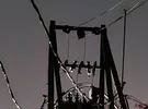سامسونج ‏جالاسكي S23 بلس ‏256 جيجابايت ‏أزرق