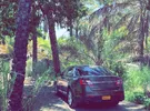 فورد ‏تورس ‏Limited ‏2018