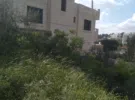 Amman ‏Badr Jdedeh