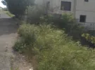Amman ‏Badr Jdedeh