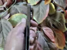 أبل ‏ايفون 14 برو ماكس ‏256 جيجابايت ‏بنفسجي