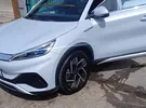 بي واي دي ‏اتو 3 ‏2023