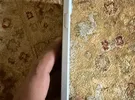 Apple ‏iPhone 15 Plus ‏128 GB ‏White