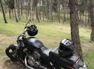 Harley Davidson ‏Other ‏2012 ‏1000 cc
