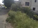 Amman ‏Badr Jdedeh
