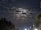 سامسونج ‏جالاكسي A55 ‏512 جيجابايت ‏أبيض