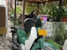 Honda ‏Other ‏2020 ‏11- 250 cc