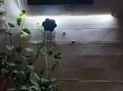 Apple ‏iPhone 11 ‏128 GB ‏Black