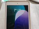Apple ‏iPad Mini 5 ‏64 GB ‏7.9 inch